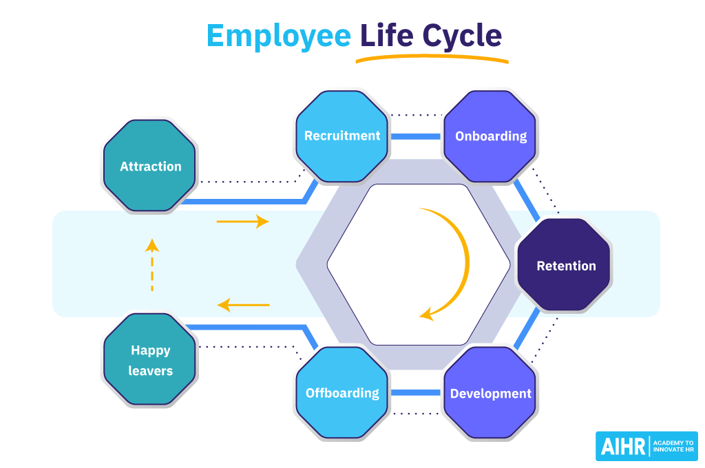 employee life cycle
attraction, recruitment, onboarding, retention, development, offboarding, happy leavers